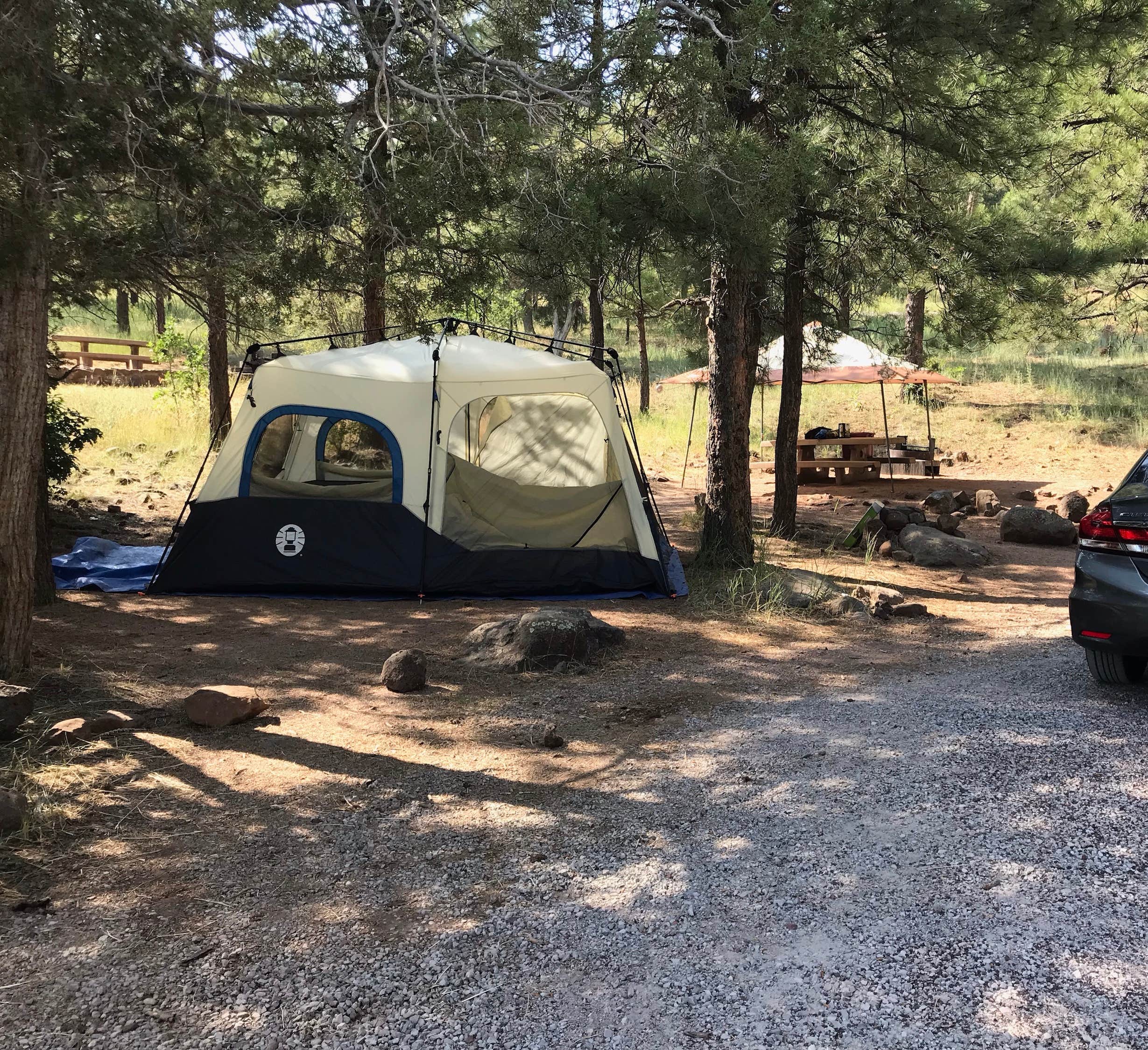 Cassondra G.'s photo at Lakeview Campground (Az) — Coconino National Forest Recreation near Leupp, AZ
