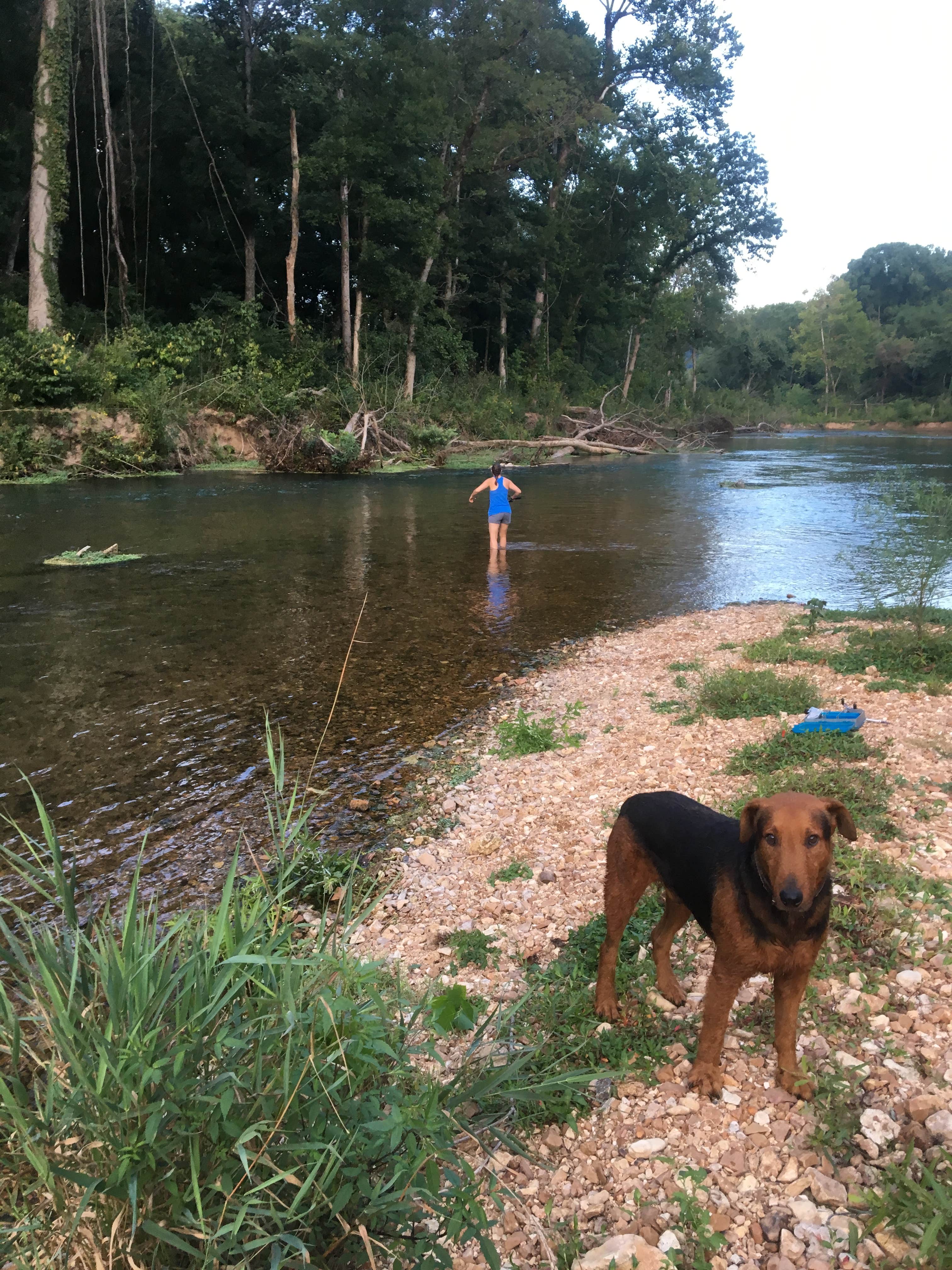 Camper submitted image from Richard's Canoe Rental & Campground - 5