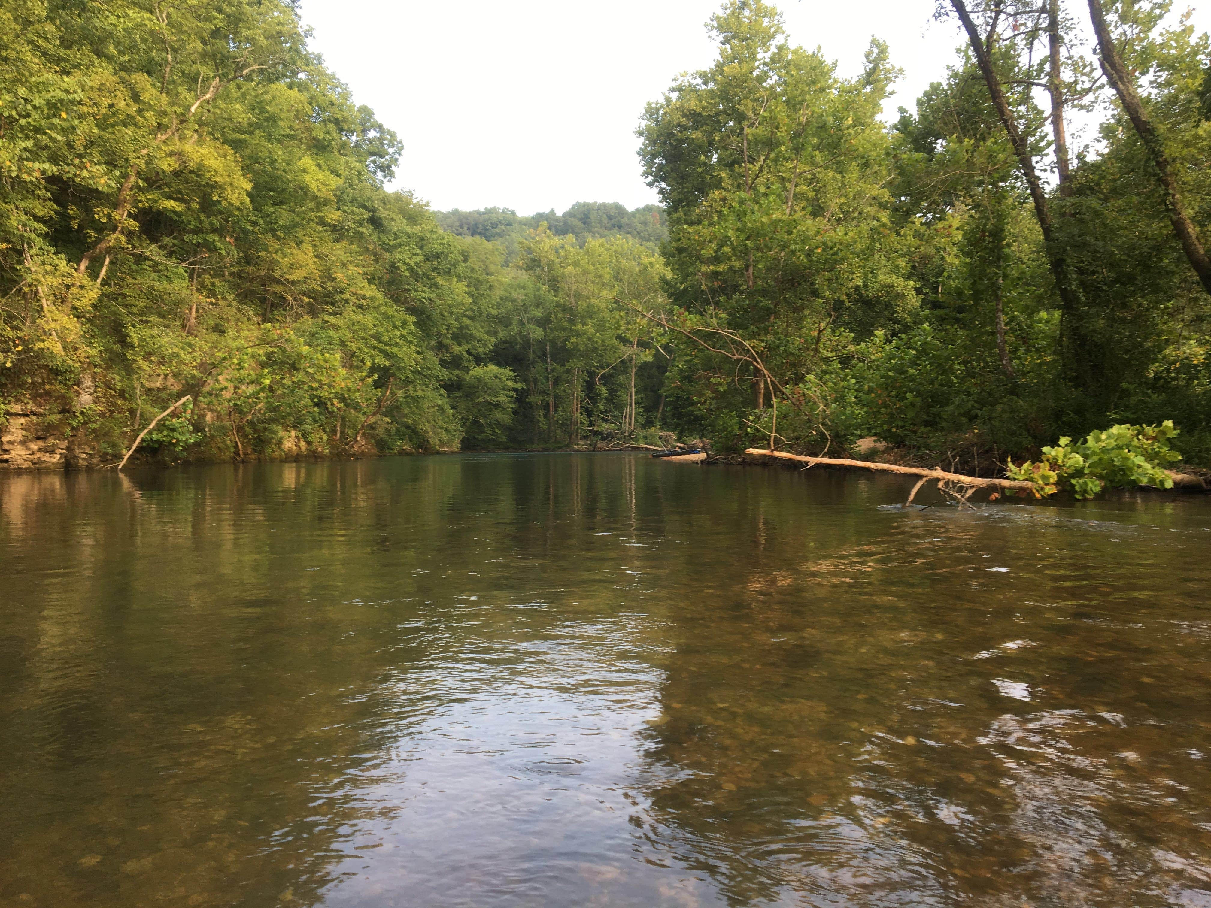 Camper submitted image from Richard's Canoe Rental & Campground - 2