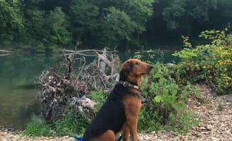 Elisha P.'s photo of camping with pets at Richard's Canoe Rental & Campground near Hartshorn, MO