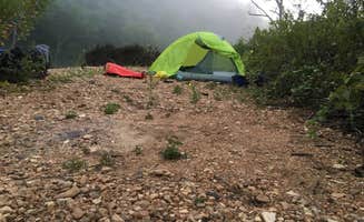 Elisha P.'s photo at Richard's Canoe Rental & Campground near Salem, AR