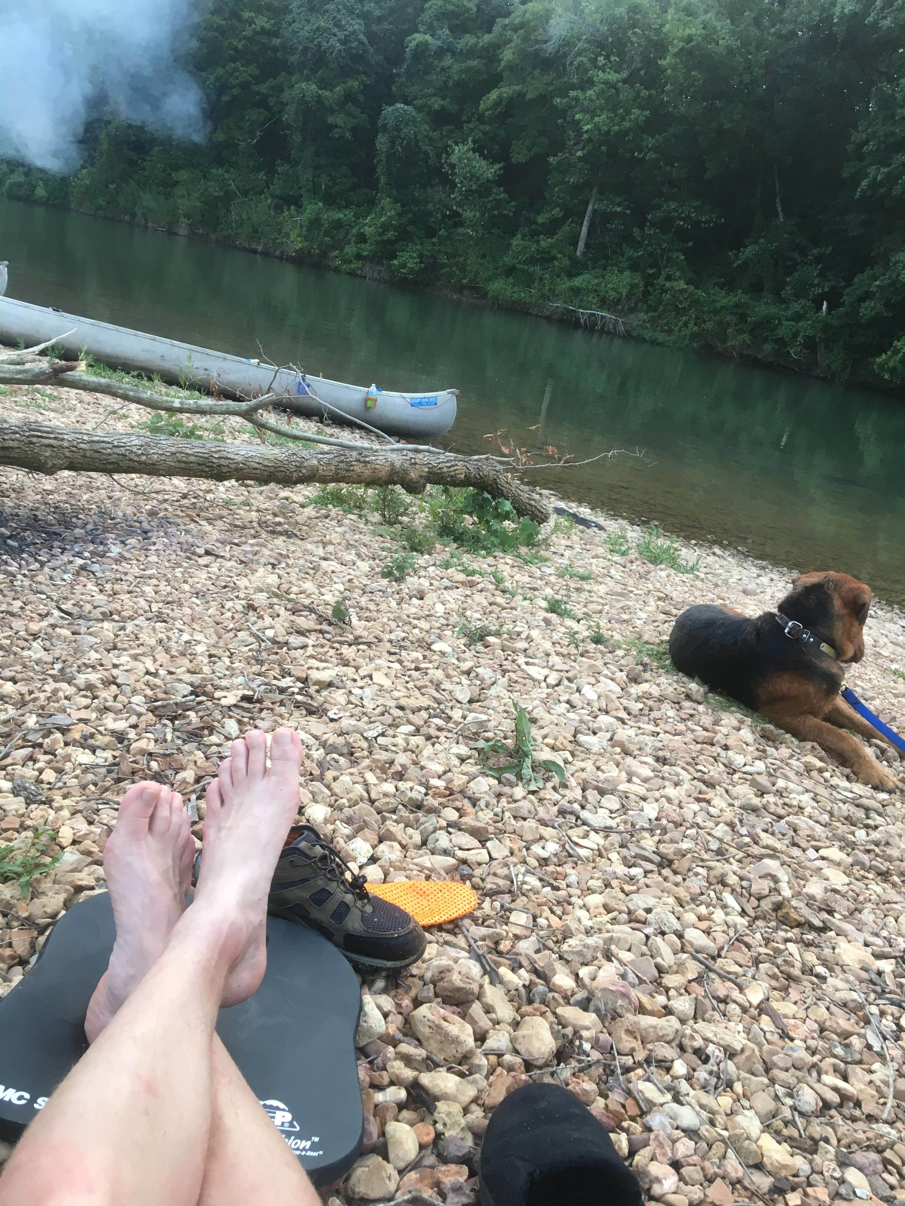 Elisha  P.'s photo of camping with pets at Richard's Canoe Rental & Campground near Alton, MO