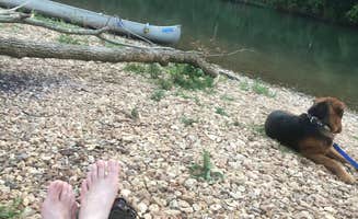 Elisha P.'s photo of camping with pets at Richard's Canoe Rental & Campground near Hartshorn, MO
