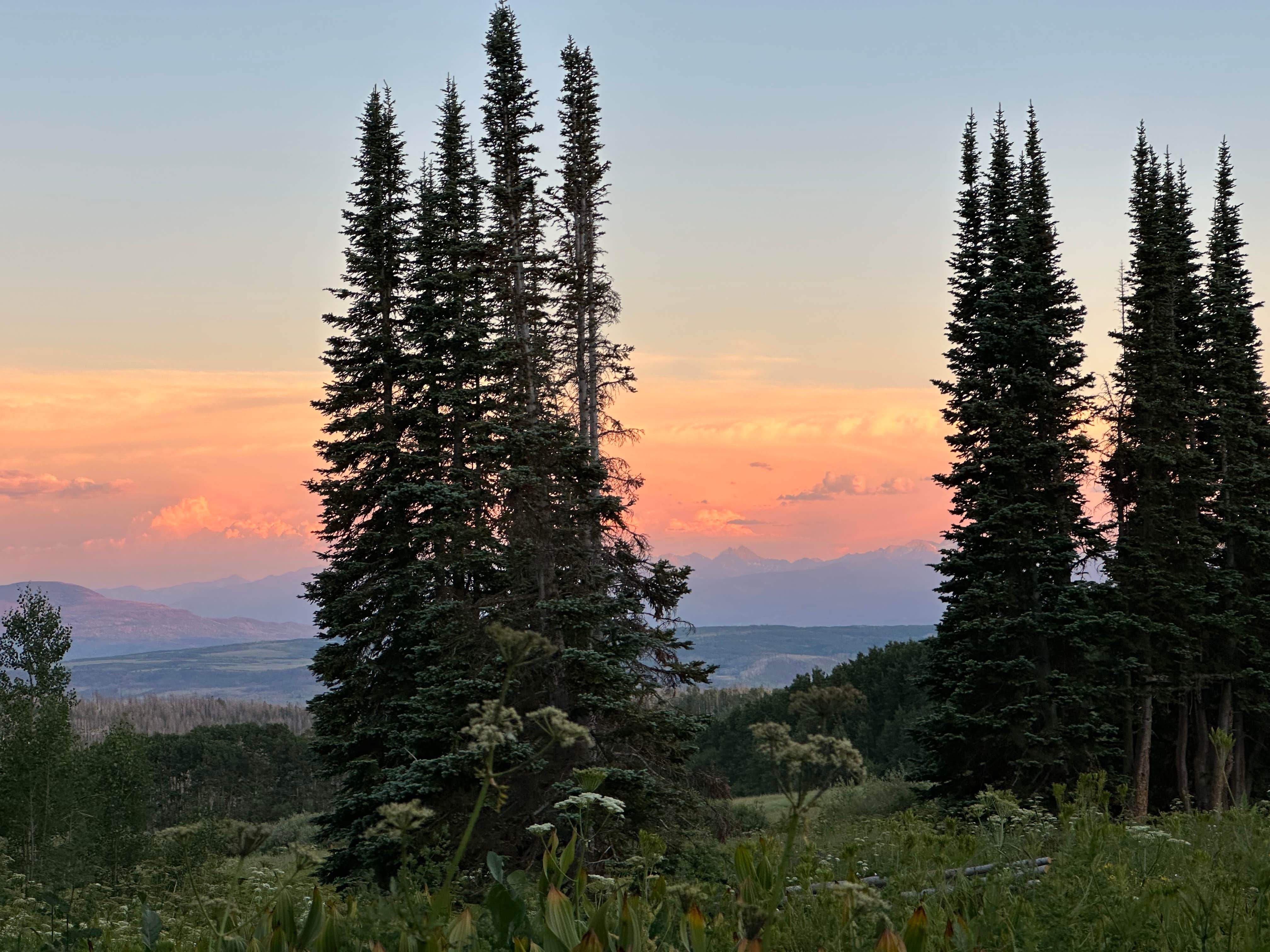 Camper-submitted photo at Coffee Pot Springs Campground near Glenwood Springs, CO