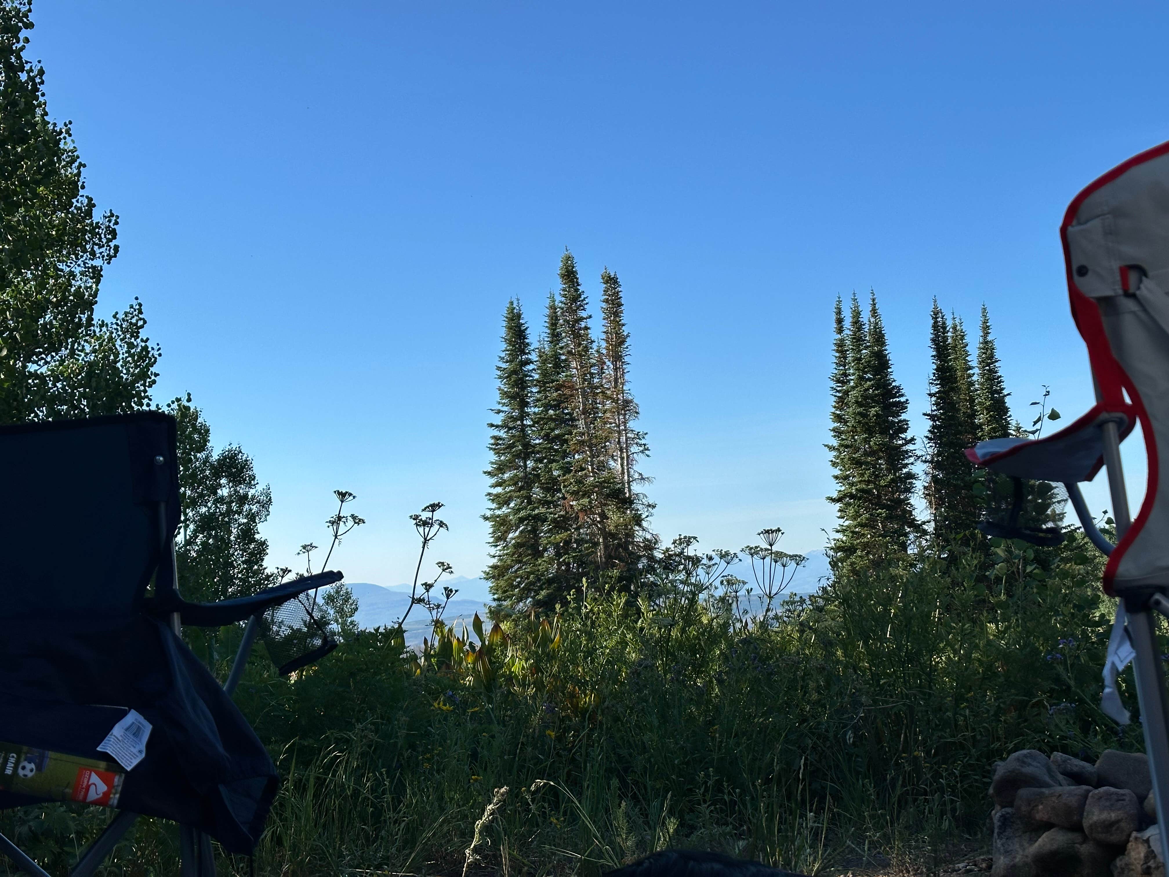 Camping near Glenwood Canyon Resort: Coffee Pot Springs Campground, Glenwood Springs, Colorado