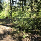 Review photo of Bridge Creek Campground by Ryan K., July 30, 2019