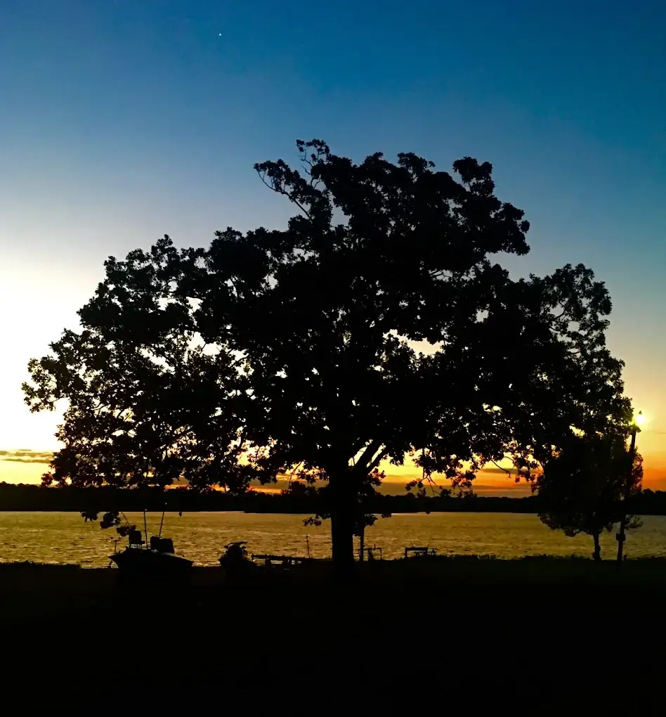 Camper-submitted photo at Driftwood Family Campground near Gaylesville, AL