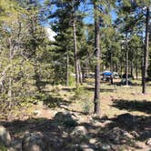 Review photo of Mingus Mountain Campground by Jake-lela C., July 30, 2019