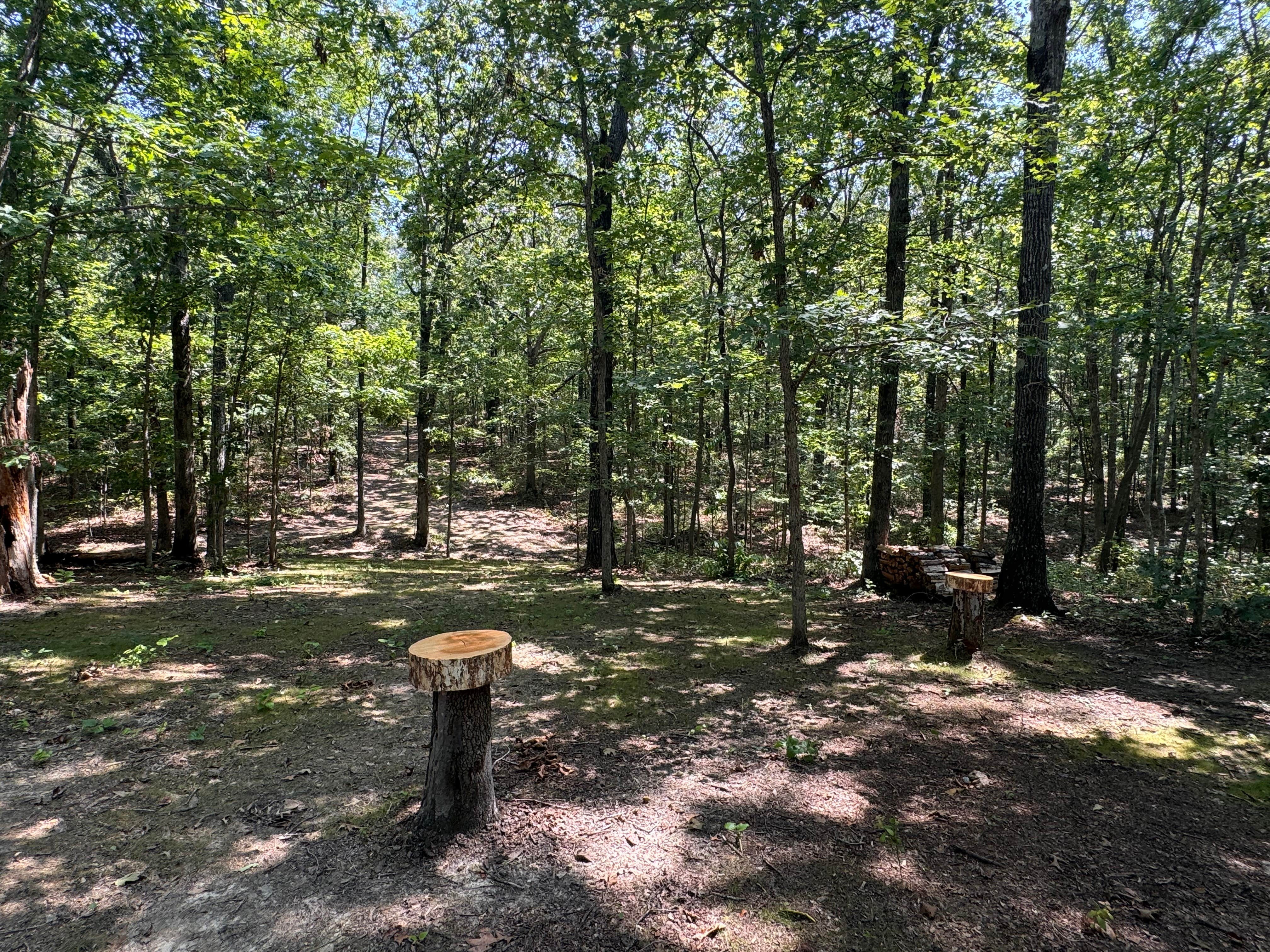 Camper-submitted photo at Kahu Farm’s Ravine Lookout near Natchez Trace Parkway