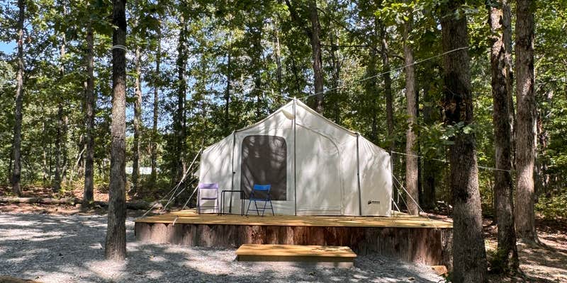 Camper submitted image from Kahu Farm’s Ravine Lookout