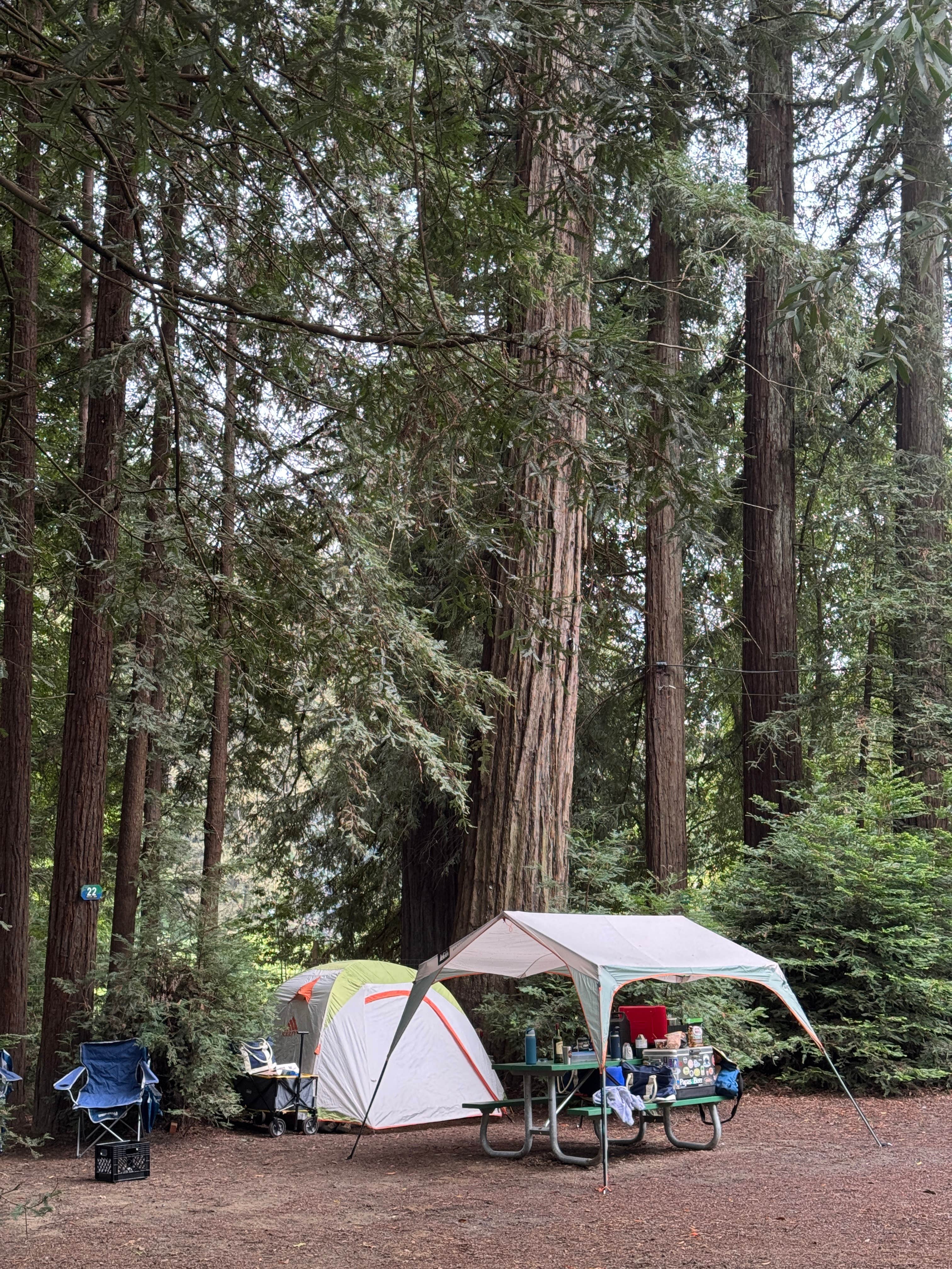 Camper-submitted photo at River Bend Resort near Rutherford, CA