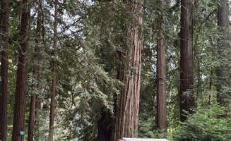 Michelle B.'s photo at River Bend Resort in California