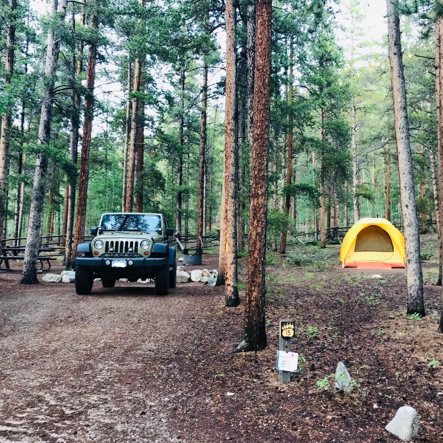 Lodgepole (taylor River Canyon Near Gunnison, Colorado) Camping The Dyrt