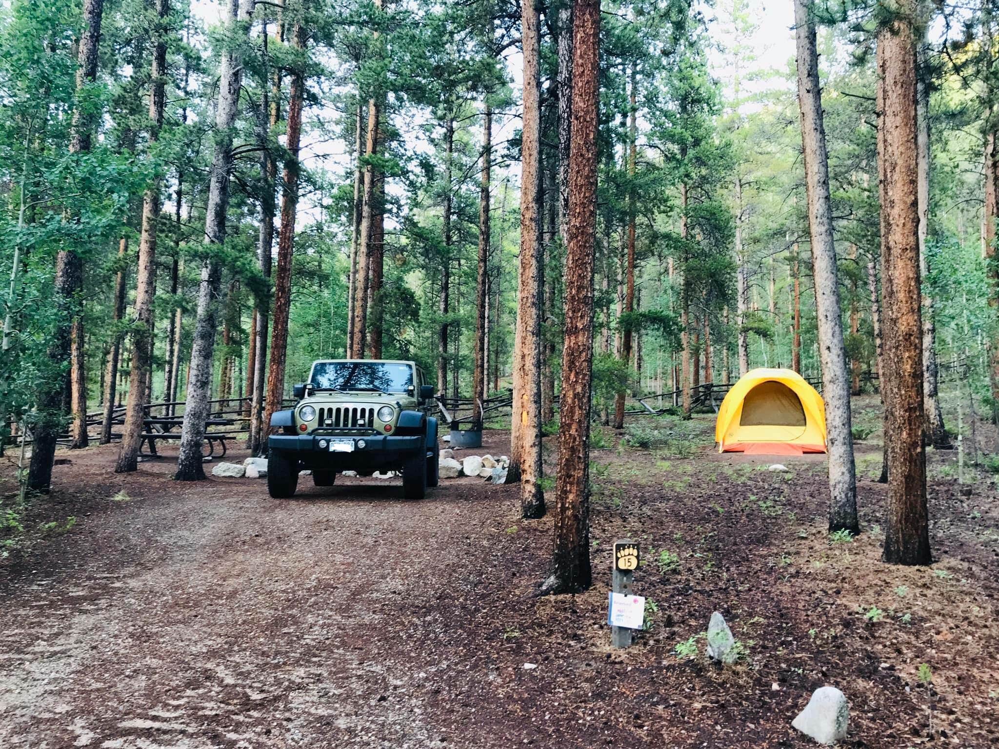 LODGEPOLE (Taylor River) The Dyrt