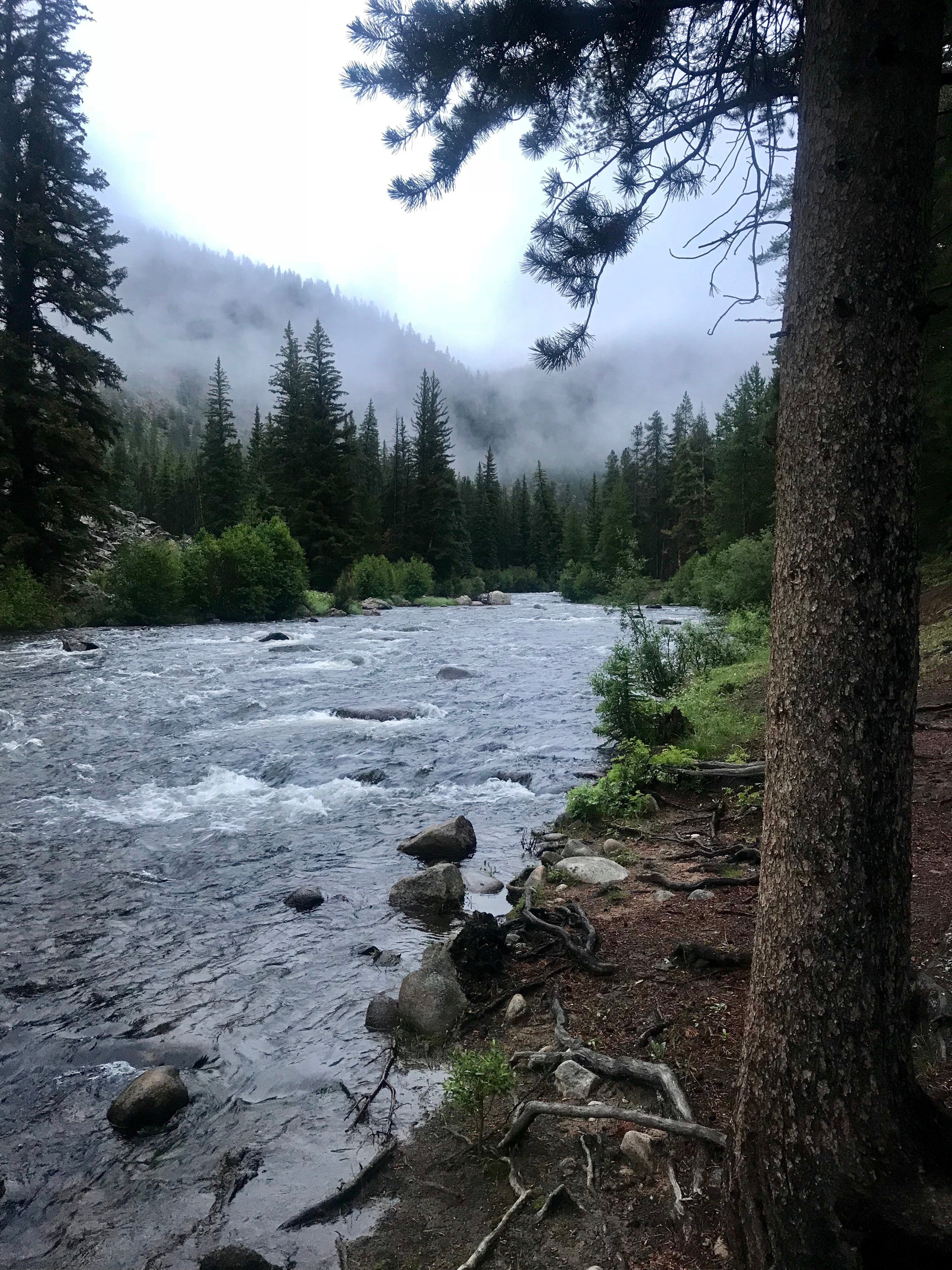 Camper submitted image from Lodgepole (taylor River Canyon Near Gunnison, Colorado) - 2