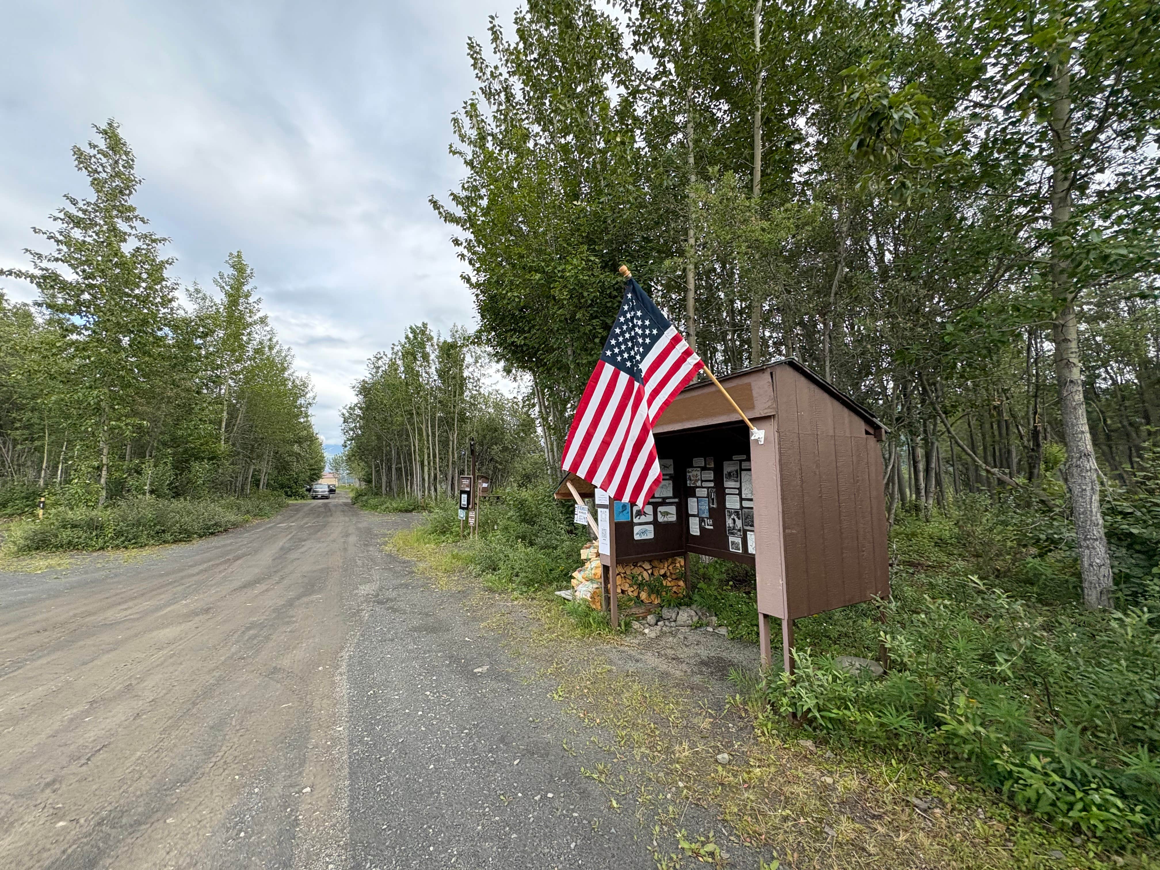 Camper submitted image from Pinochle Trail Campground - 2