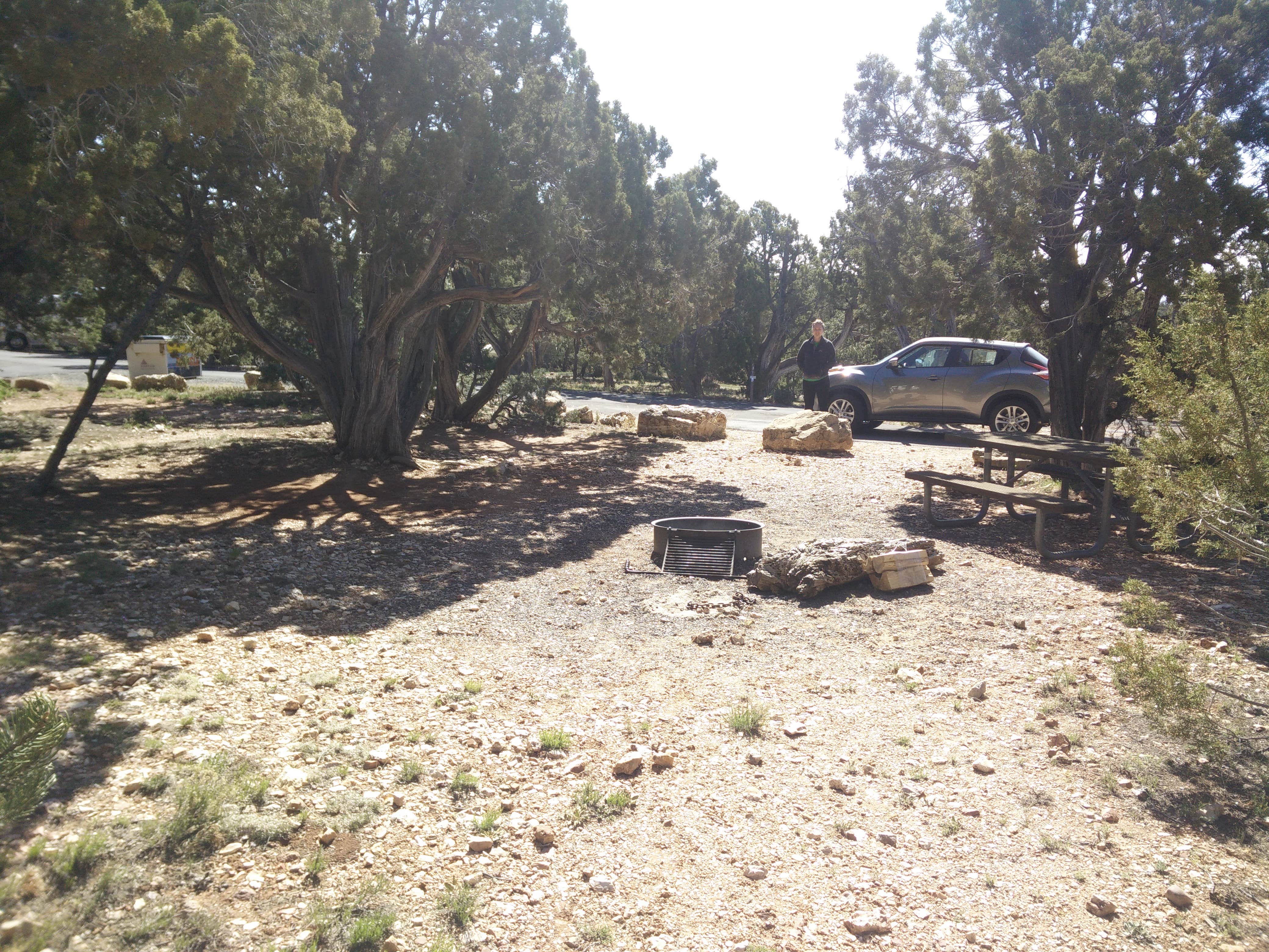 Camper submitted image from Desert View Campground — Grand Canyon National Park - 3