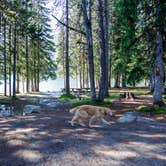 Review photo of Anthony Lake Campground by Jill T., July 29, 2019