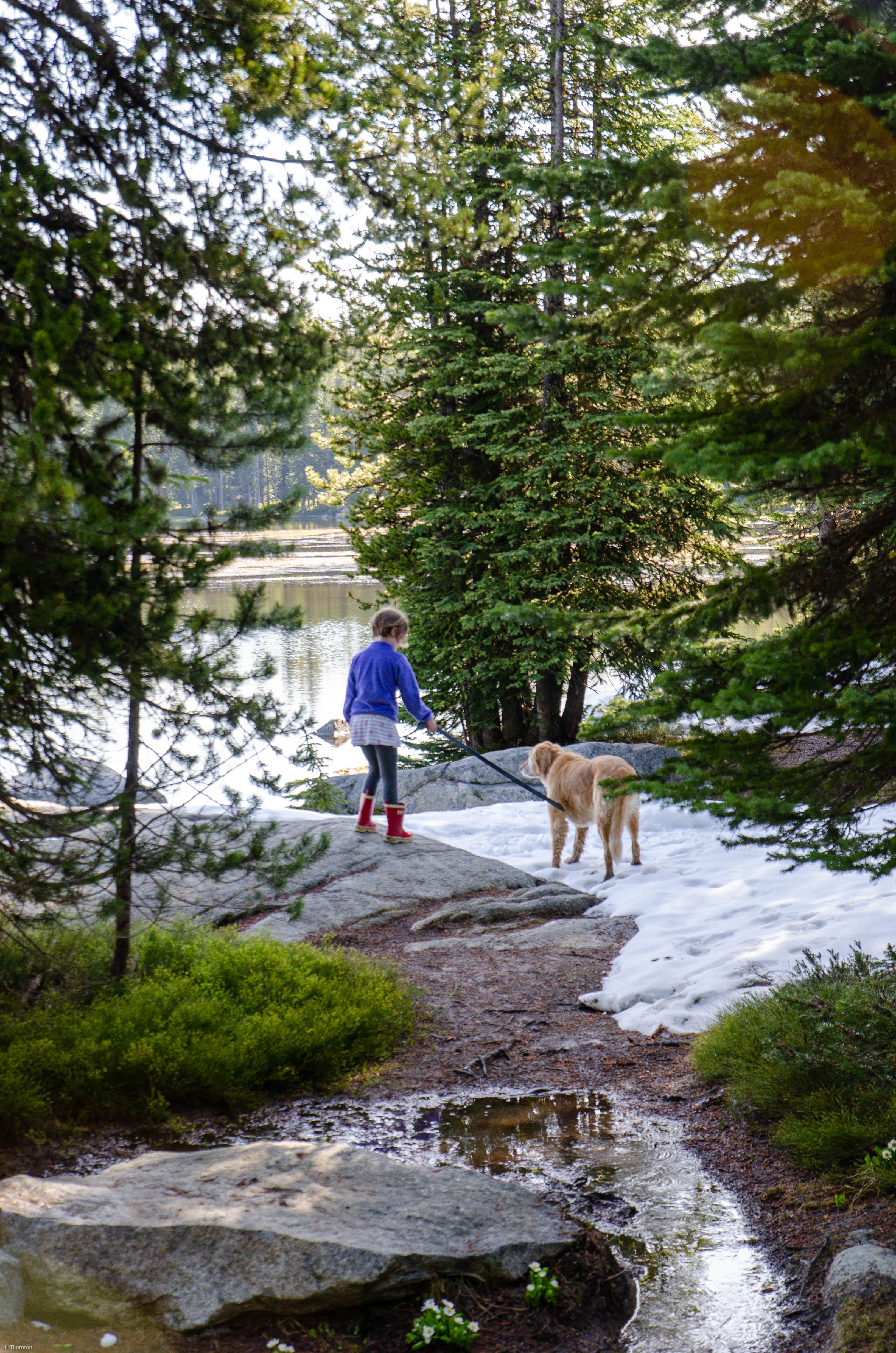 Jill T.'s photo of camping with pets at Anthony Lake Campground near Unity, OR