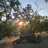 Review photo of Glory Hole Recreation Area by Ryan D., July 16, 2025