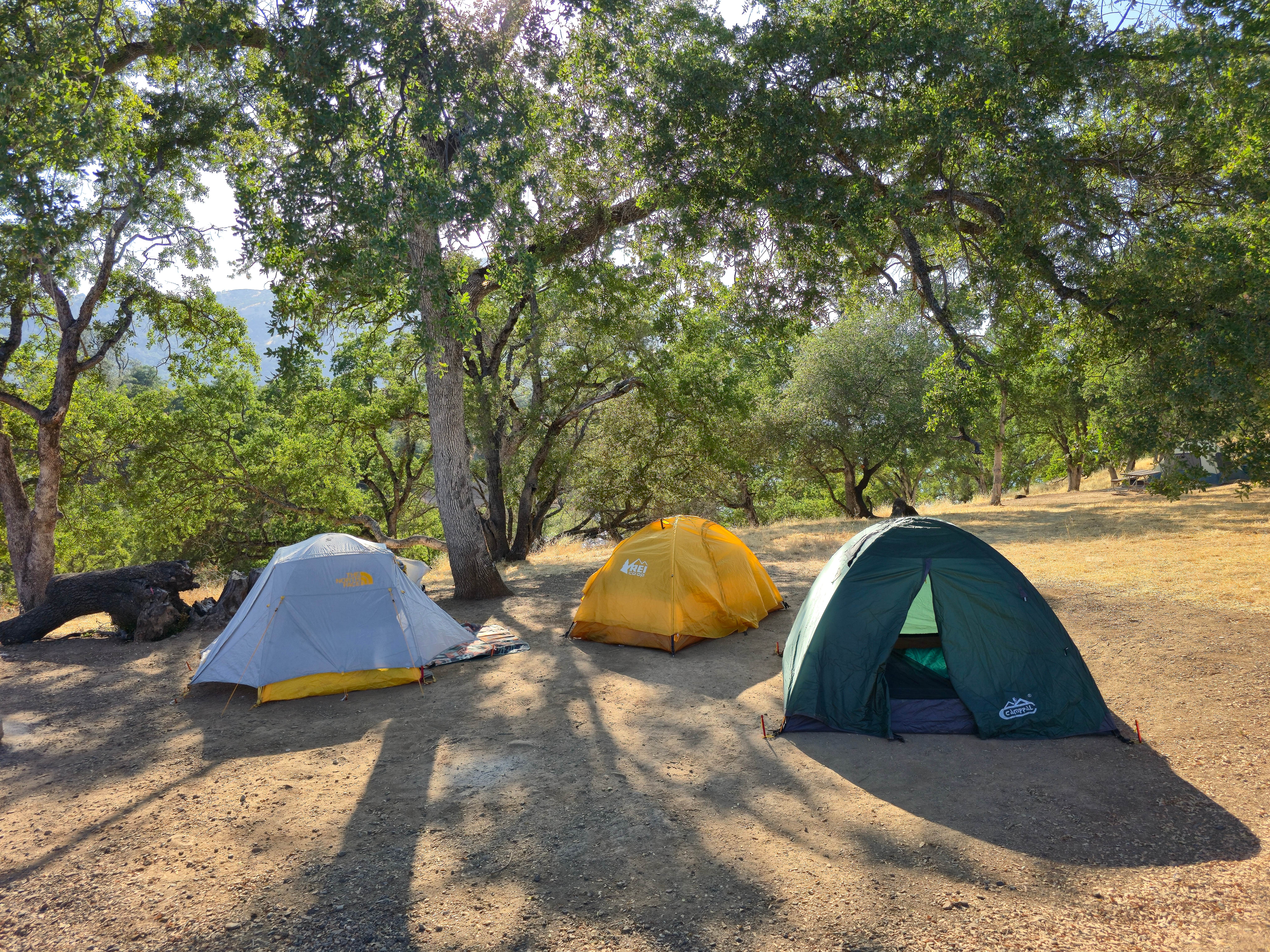 Ryan D.'s photo at Glory Hole Recreation Area near New Hogan Lake