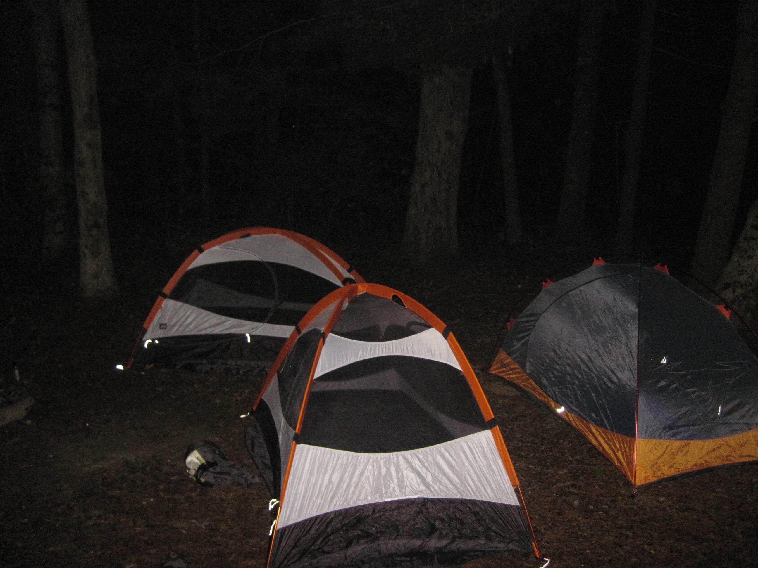 Camper submitted image from Nickerson State Park Campground - 4