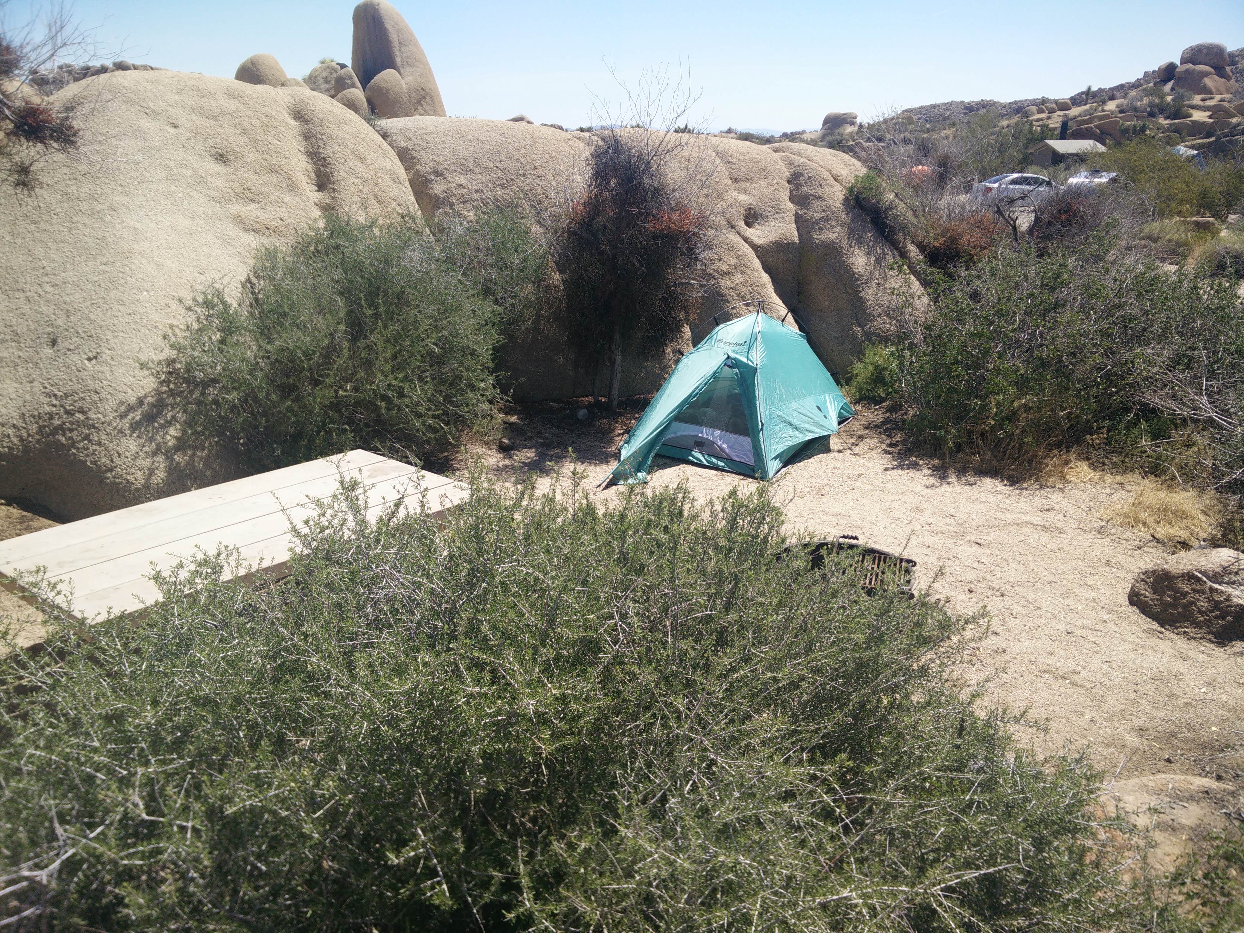 JESS H.'s photo at Indian Cove Campground — Joshua Tree National Park near Twentynine Palms, CA