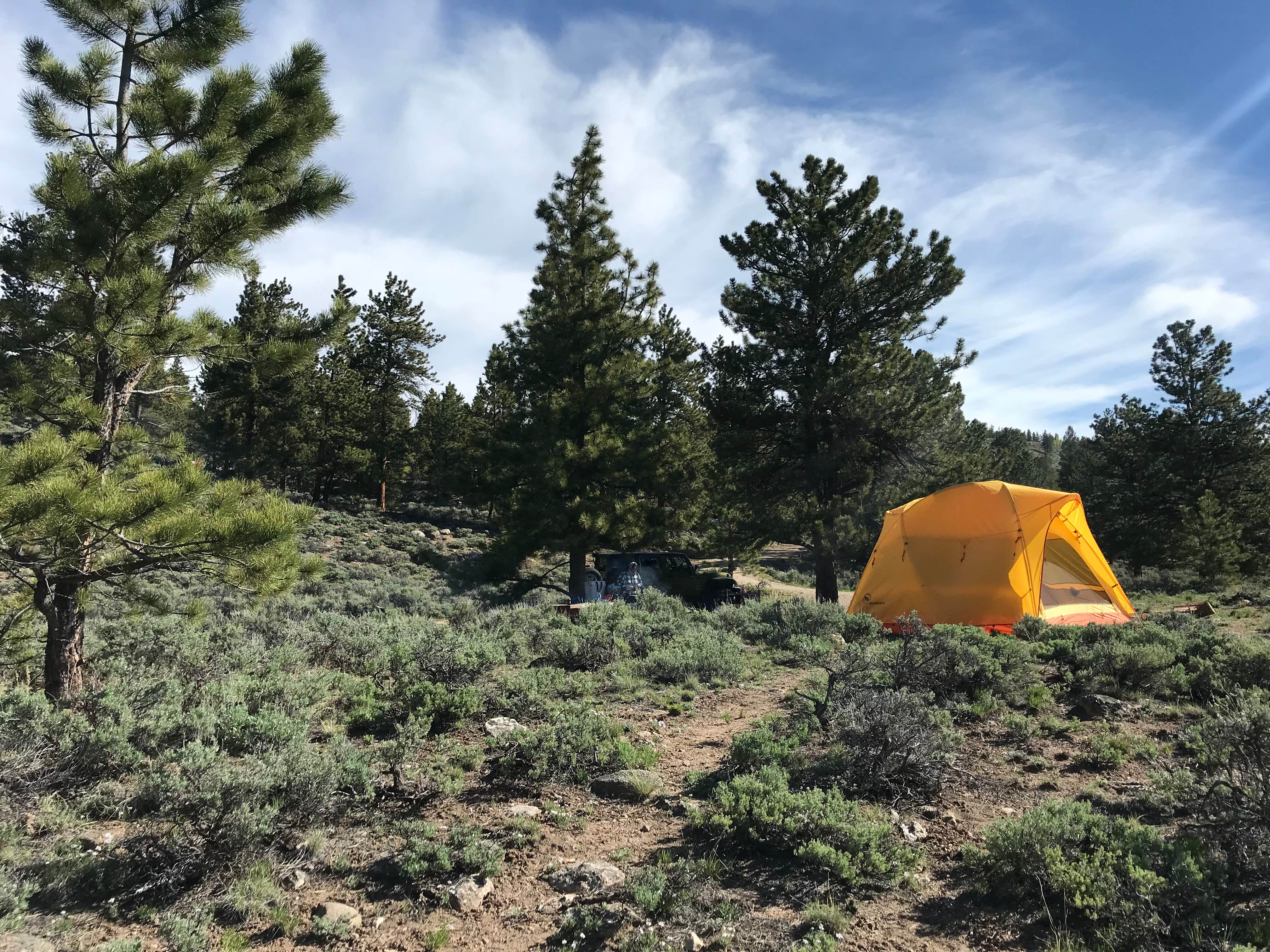 James M.'s photo at Lakeview Campground near Granite, CO