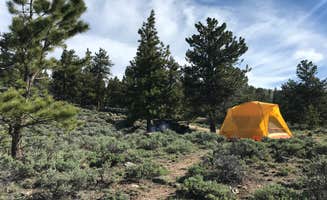 James M.'s photo at Lakeview Campground near Granite, CO
