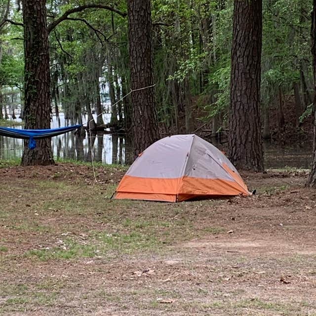 ELLIOTTS C.'s photo at Elliott's Landing and Campground near Pineville, SC