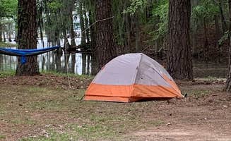 ELLIOTTS C.'s photo at Elliott's Landing and Campground near St. Matthews, SC