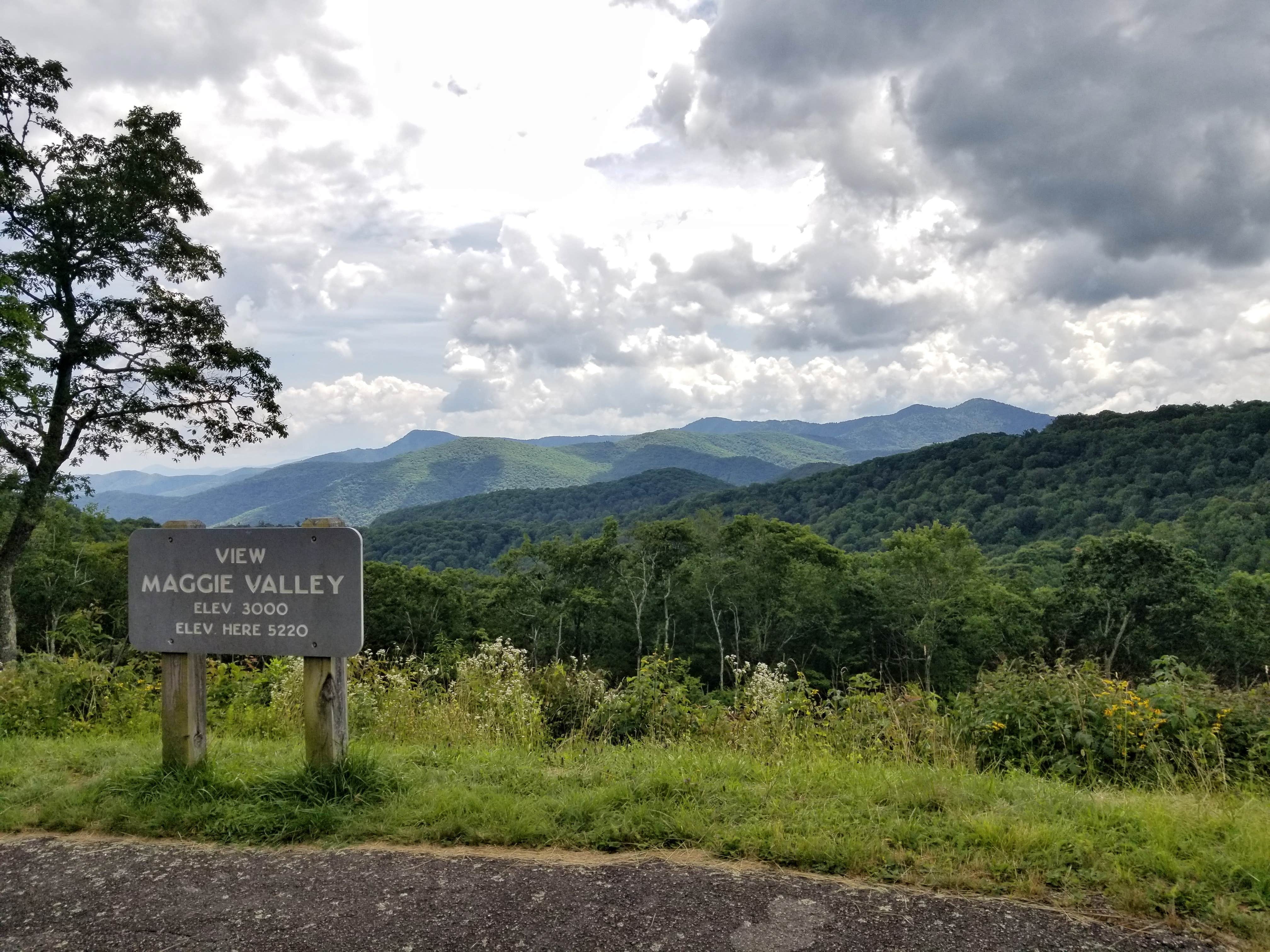 Camper submitted image from Balsam Mountain Campground — Great Smoky Mountains National Park - 5