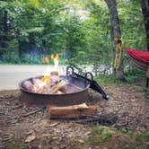 Review photo of Balsam Mountain Campground — Great Smoky Mountains National Park by Christina  Z., July 30, 2019