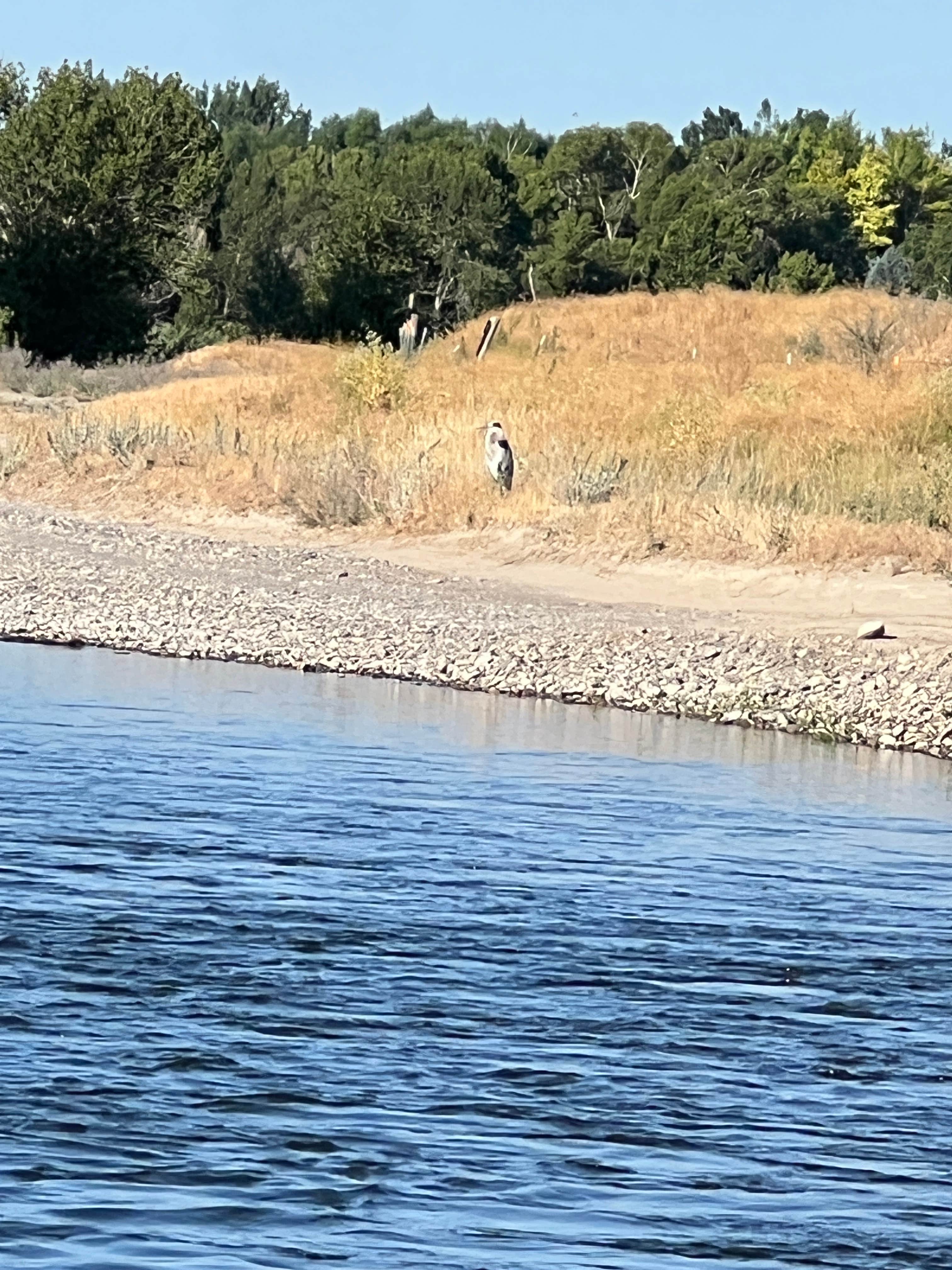 Camper-submitted photo at Snake River Dispersed near Firth, ID