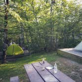 Review photo of Balsam Mountain Campground — Great Smoky Mountains National Park by Christina  Z., July 30, 2019