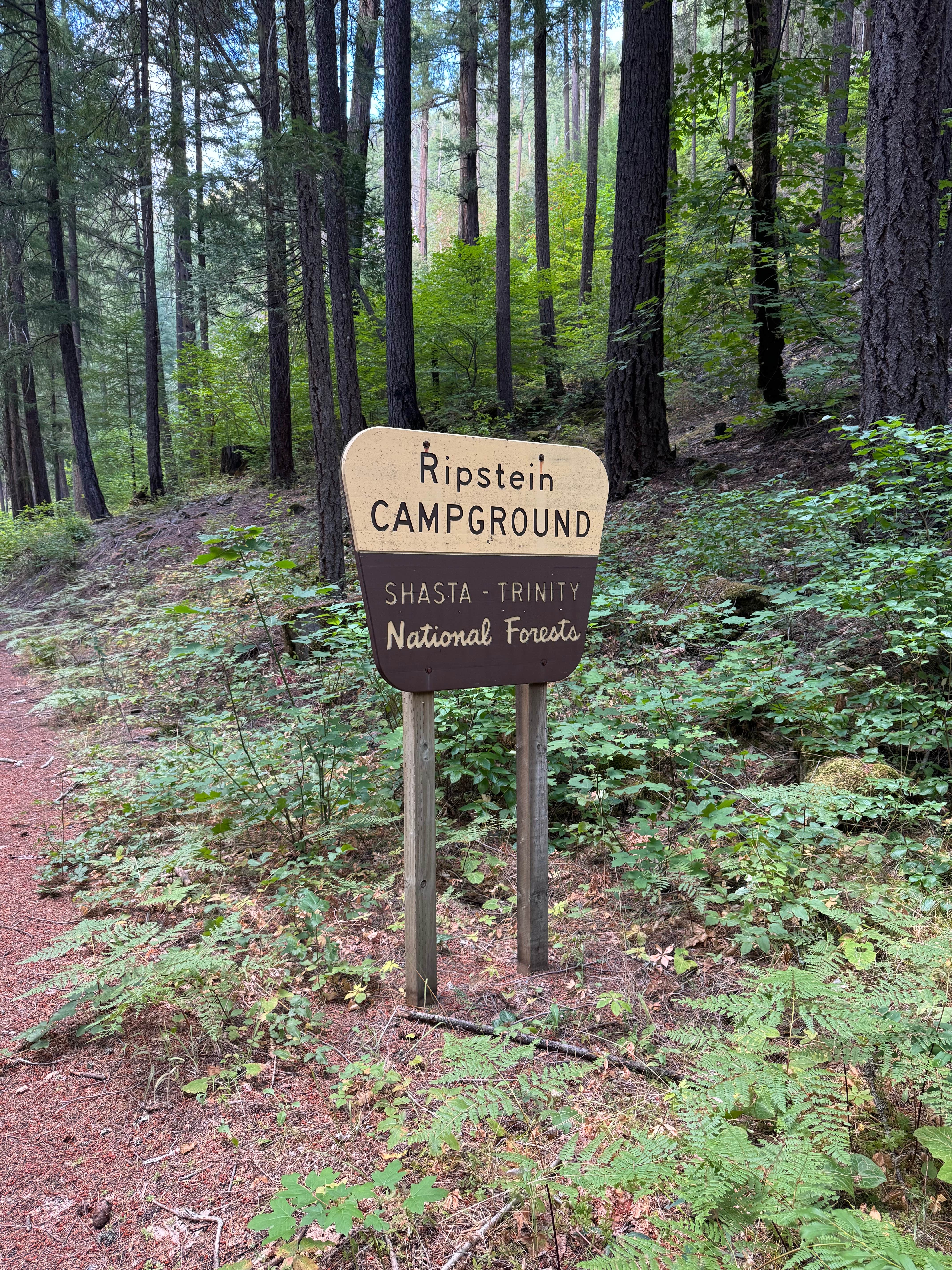 Camper submitted image from Ripstein Campground - 2
