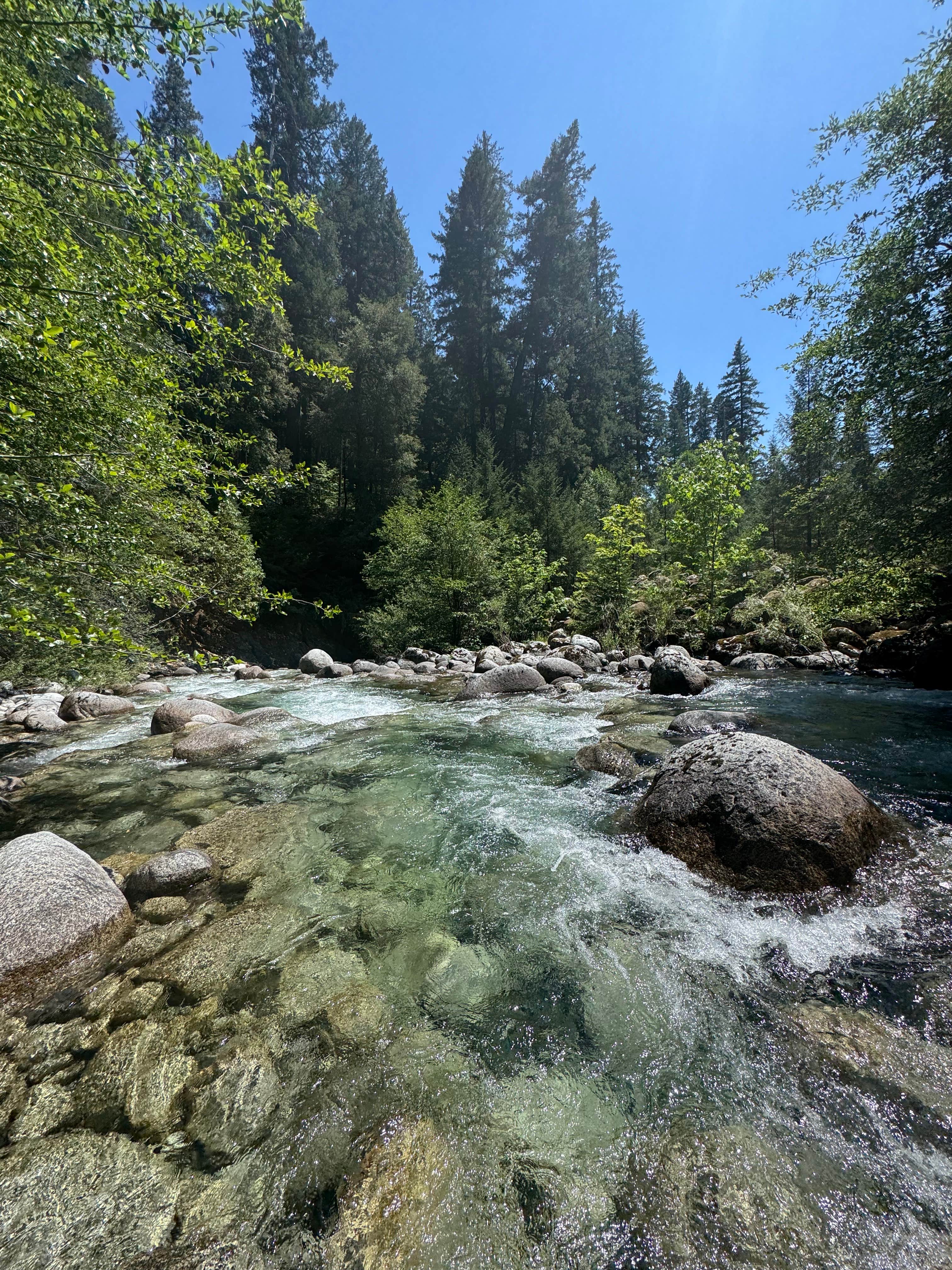 Camper-submitted photo at Ripstein Campground near Helena, CA