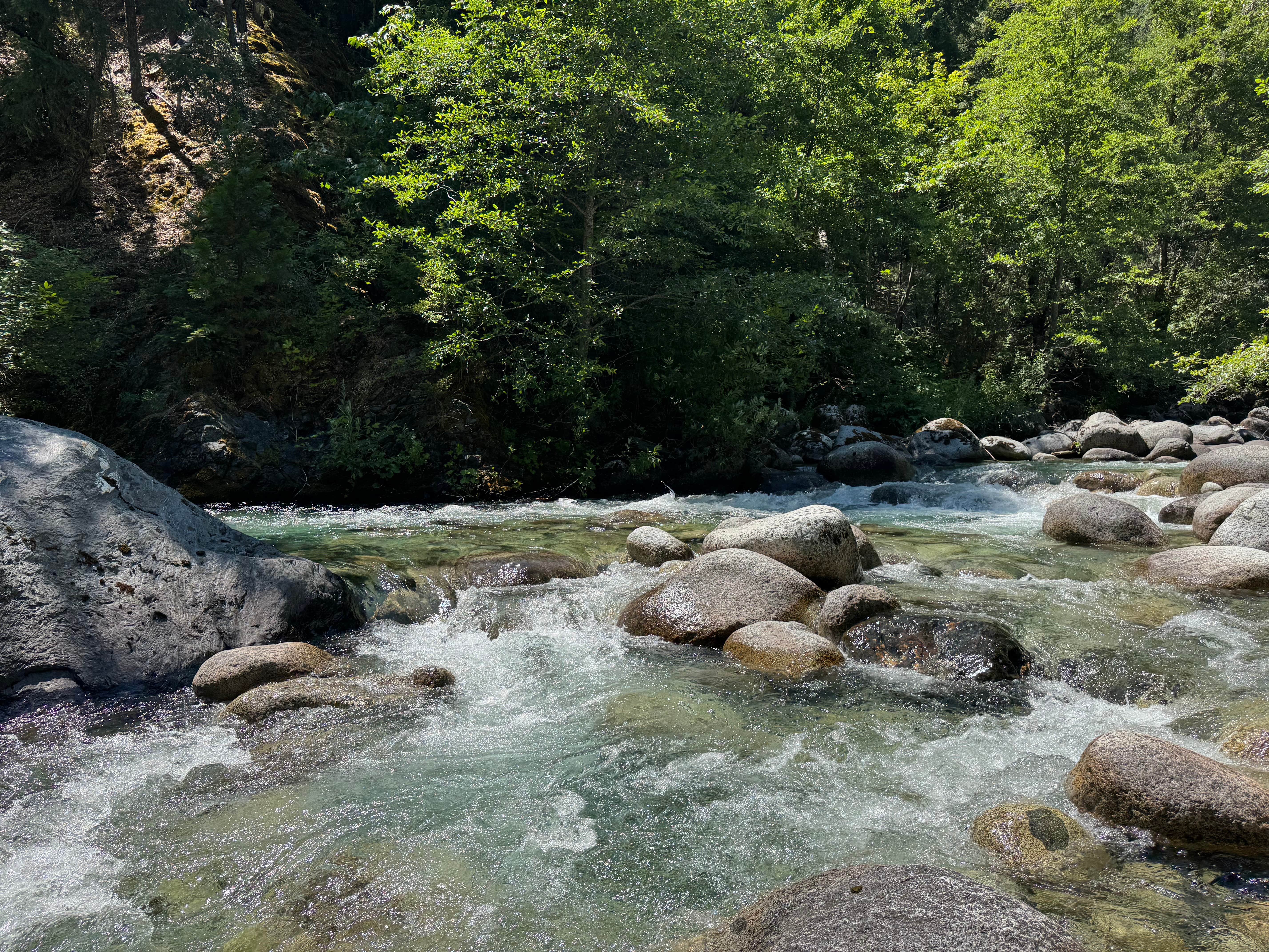 Camper-submitted photo at Ripstein Campground near Helena, CA
