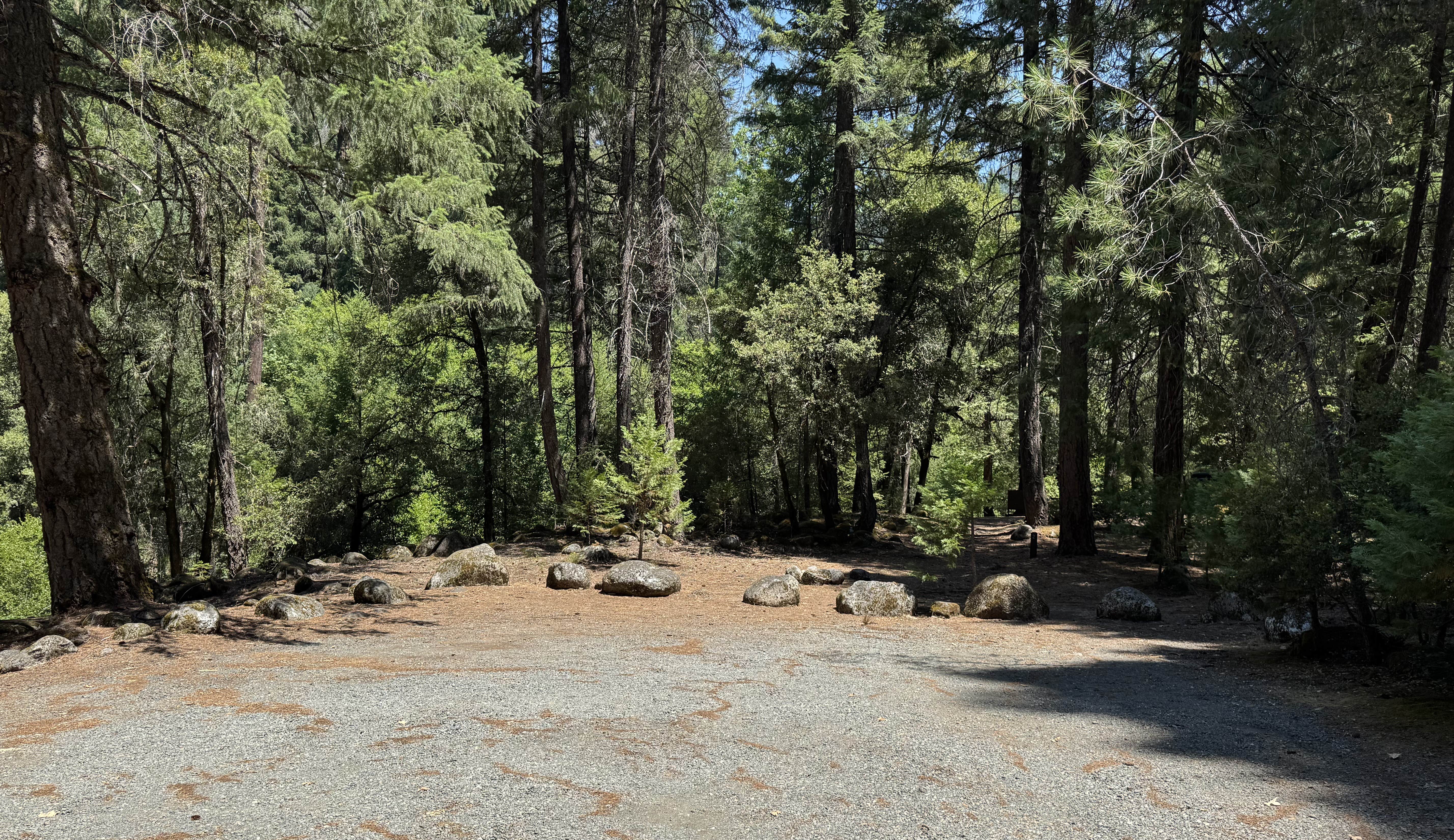 Camper submitted image from Ripstein Campground - 4