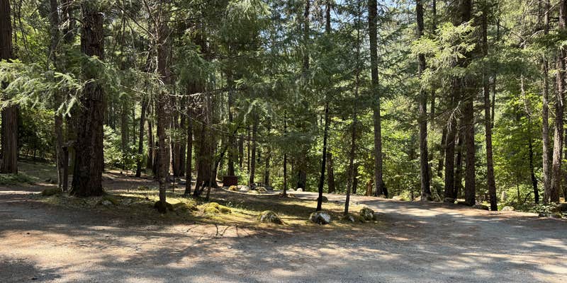 Camper submitted image from Ripstein Campground