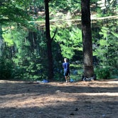 Review photo of Lorraine Park Campground — Harold Parker State Forest by Emanuela B., July 30, 2019
