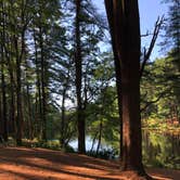 Review photo of Lorraine Park Campground — Harold Parker State Forest by Emanuela B., July 30, 2019