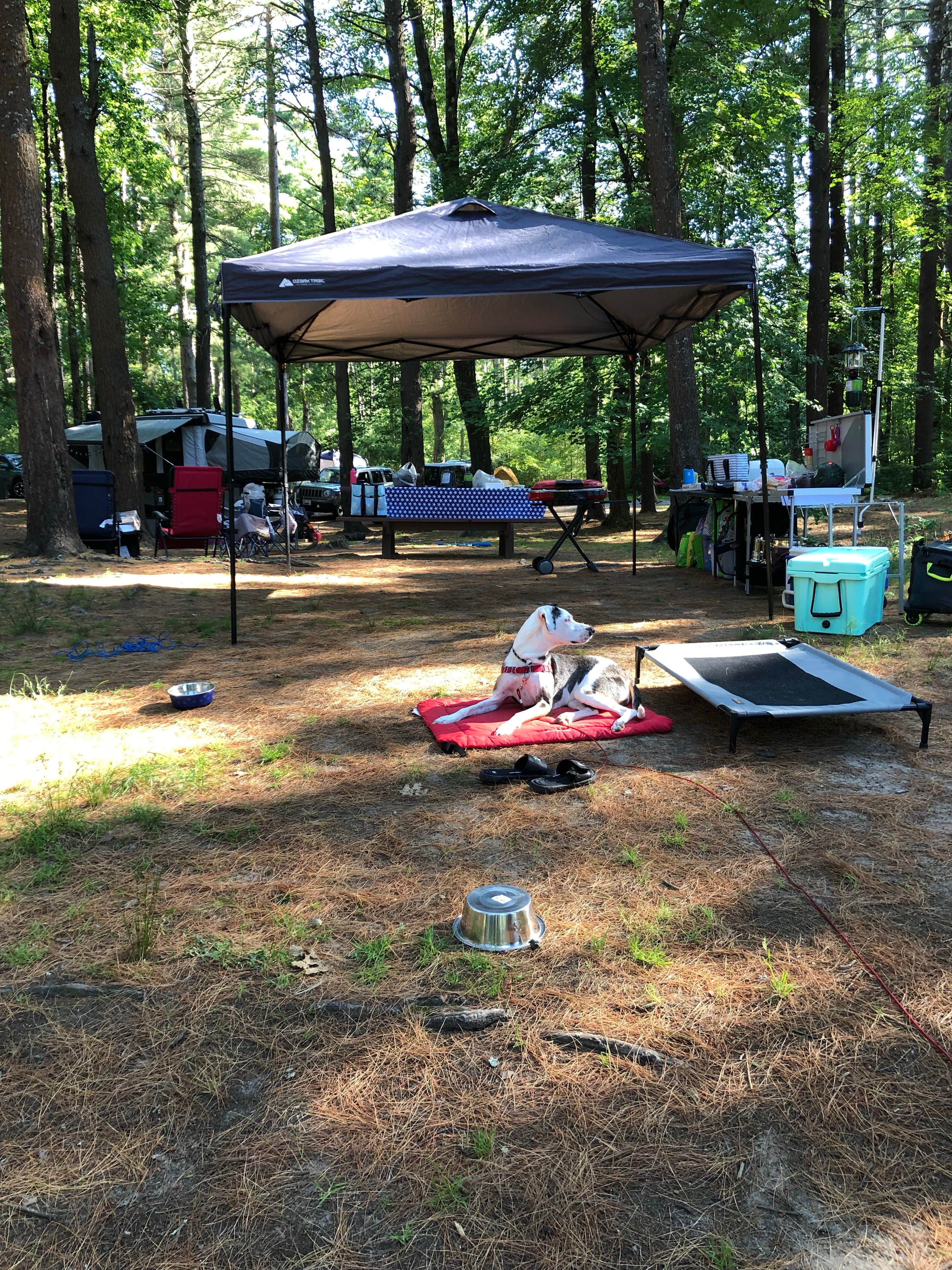 Emanuela B.'s photo at Lorraine Park Campground — Harold Parker State Forest near Ipswich, MA