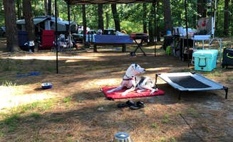 Emanuela B.'s photo at Lorraine Park Campground — Harold Parker State Forest near Peabody, MA