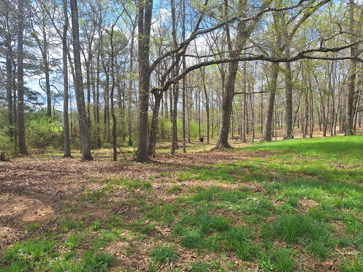Camper-submitted photo at A Place to Land Campground near Pinson, AL