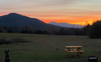 Sarah P.'s photo of camping with pets at ADK Mountain View Campground near Lake Placid, NY