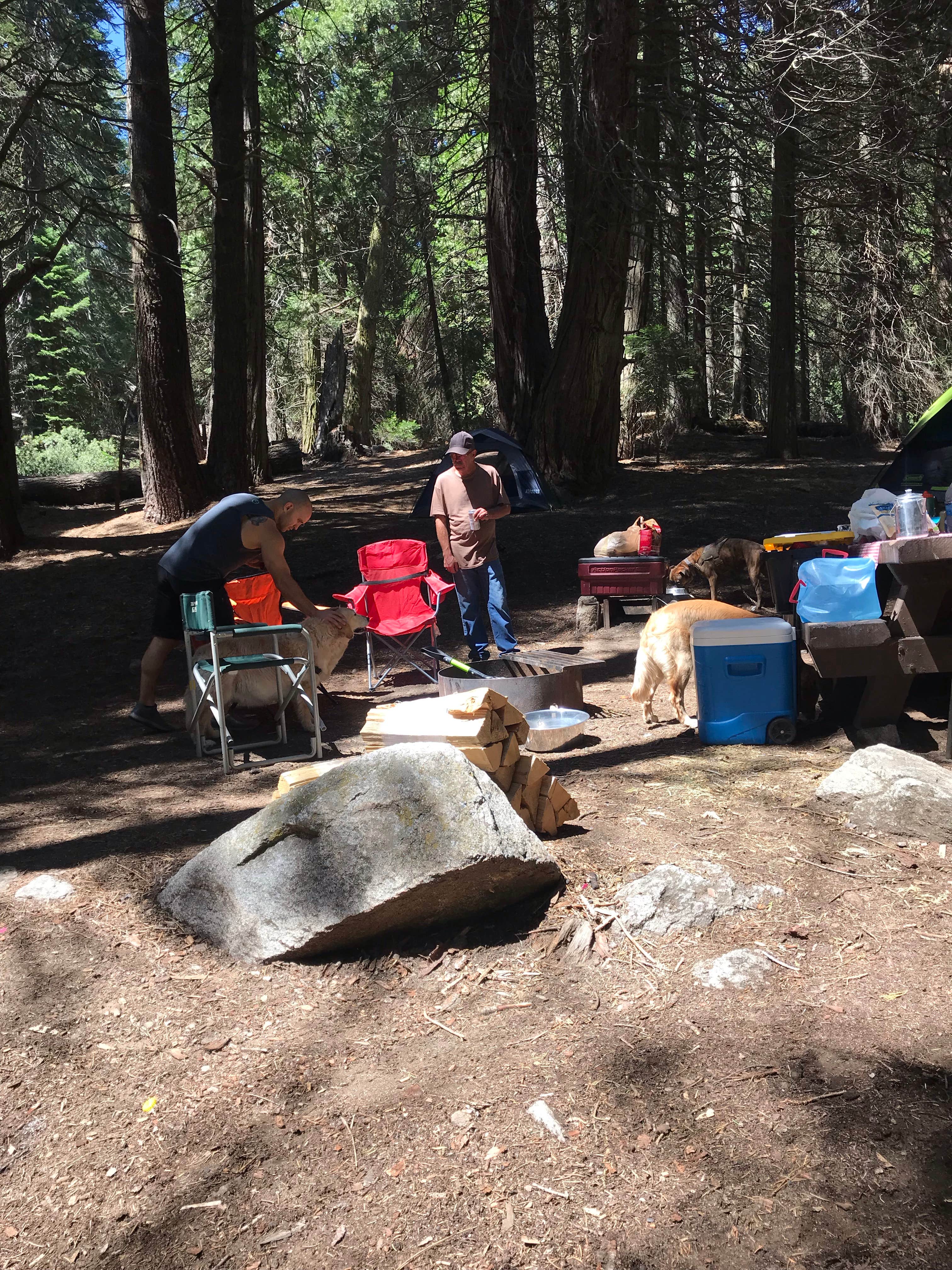Camper-submitted photo at Holey Meadow Campground near Sequoia National Forest
