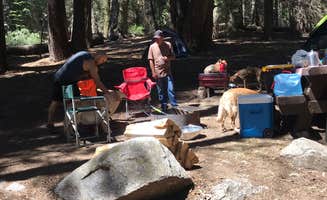 Kaitlyn M.'s photo at Holey Meadow Campground near Porterville, CA