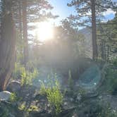 Review photo of Upper Sage Flat Campground by Jordan B., July 17, 2025