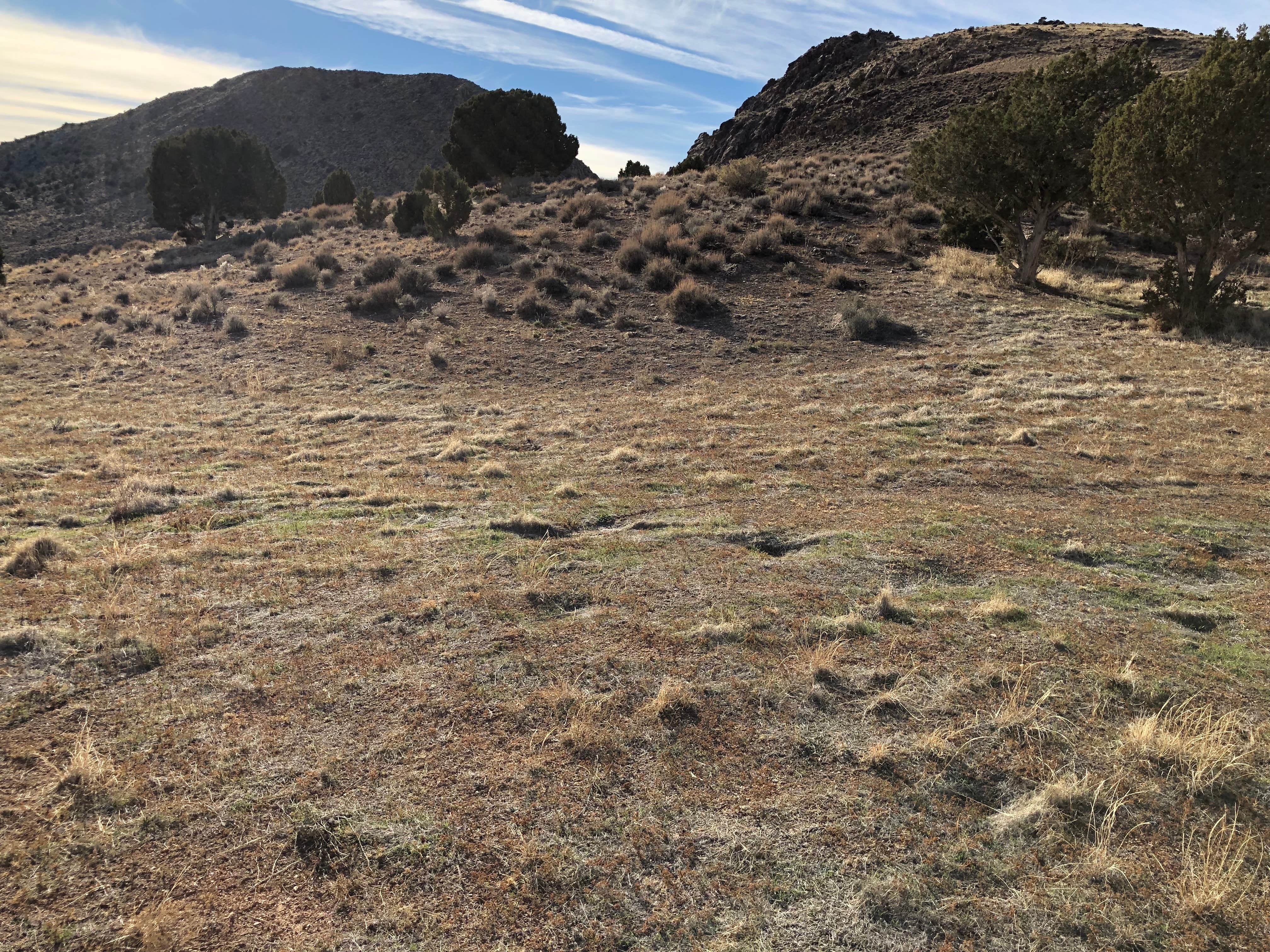 Camper-submitted photo at Parowan Gap Petroglyphs near Parowan, UT